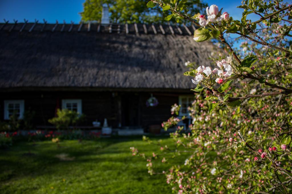 Kuusetuka Tourism Farm Villa Pahkla Екстериор снимка